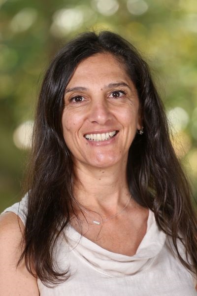 photo of Principal Butte